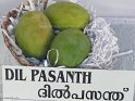 Dil Pasanth